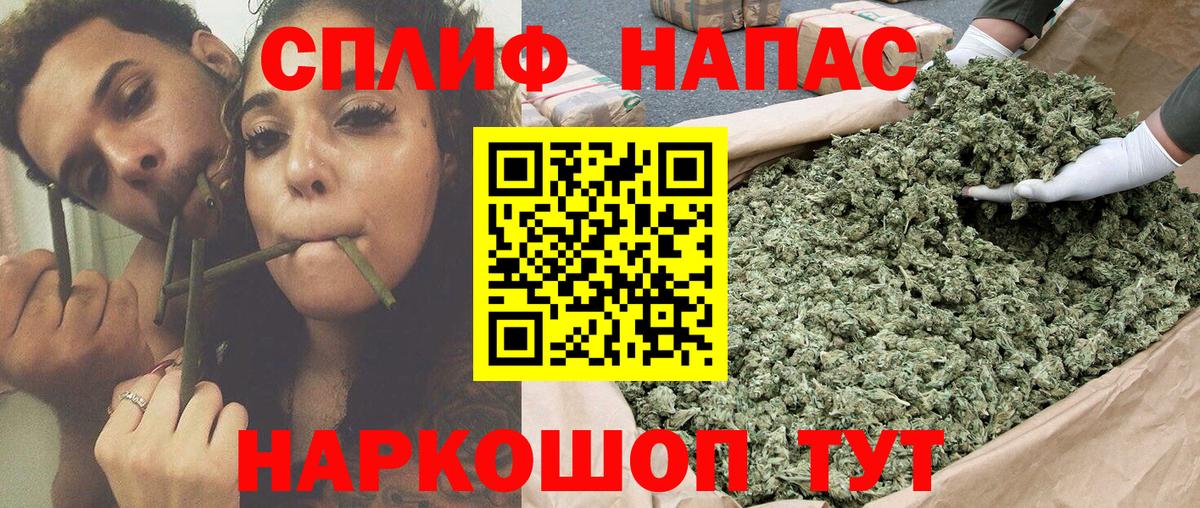 Бошки марихуана OG Kush  МАРИХУАНА SATIVA & INDICA  Вход с VPN  Севастополь  МАРИХУАНА SATIVA & INDICA  Конопля марихуана 